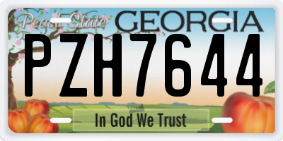 GA license plate PZH7644