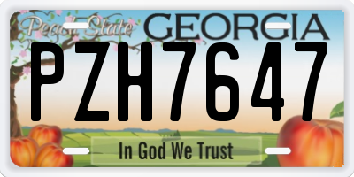 GA license plate PZH7647