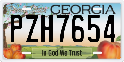 GA license plate PZH7654