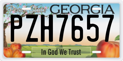 GA license plate PZH7657