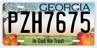 GA license plate PZH7675
