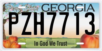 GA license plate PZH7713