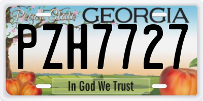 GA license plate PZH7727