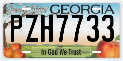 GA license plate PZH7733