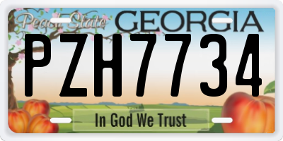 GA license plate PZH7734