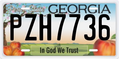 GA license plate PZH7736
