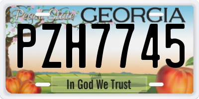 GA license plate PZH7745
