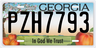 GA license plate PZH7793
