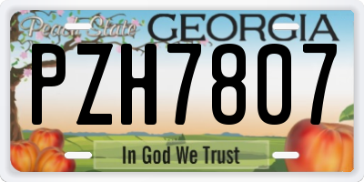 GA license plate PZH7807