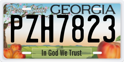 GA license plate PZH7823