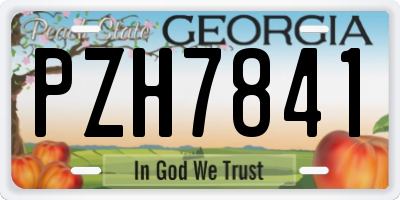 GA license plate PZH7841