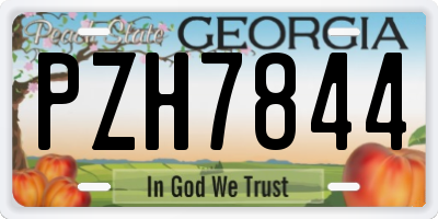 GA license plate PZH7844