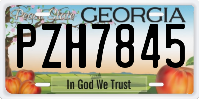 GA license plate PZH7845