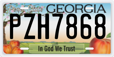 GA license plate PZH7868