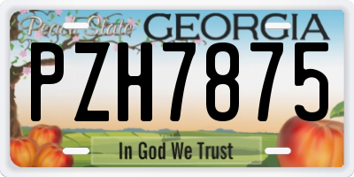 GA license plate PZH7875