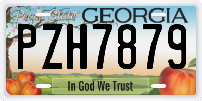 GA license plate PZH7879