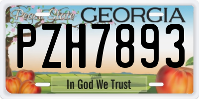 GA license plate PZH7893