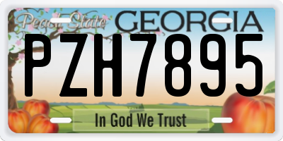 GA license plate PZH7895