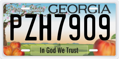 GA license plate PZH7909