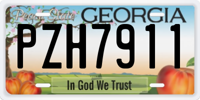 GA license plate PZH7911