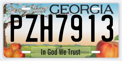 GA license plate PZH7913