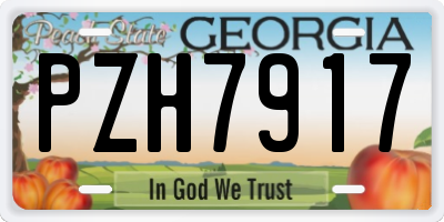 GA license plate PZH7917