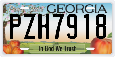 GA license plate PZH7918