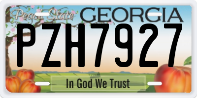 GA license plate PZH7927
