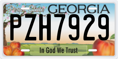 GA license plate PZH7929
