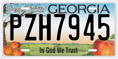 GA license plate PZH7945