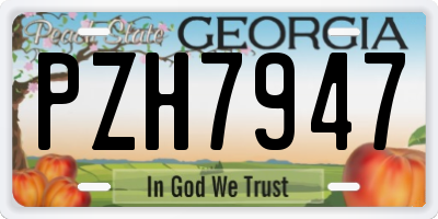 GA license plate PZH7947