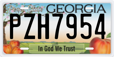 GA license plate PZH7954