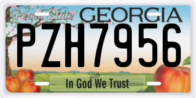GA license plate PZH7956
