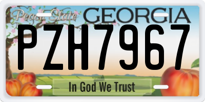 GA license plate PZH7967