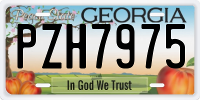 GA license plate PZH7975