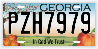 GA license plate PZH7979