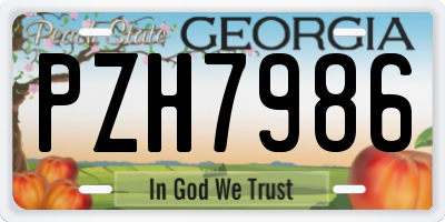 GA license plate PZH7986