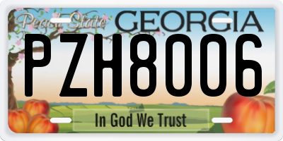 GA license plate PZH8006