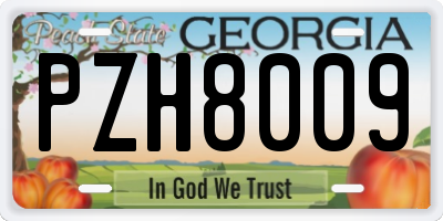 GA license plate PZH8009