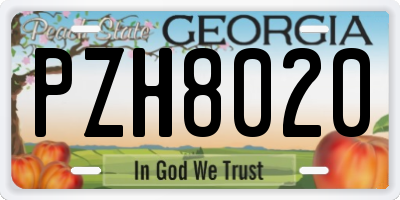 GA license plate PZH8020