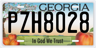 GA license plate PZH8028
