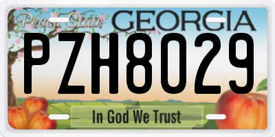 GA license plate PZH8029