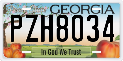 GA license plate PZH8034