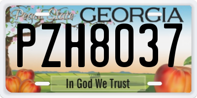GA license plate PZH8037