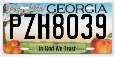 GA license plate PZH8039