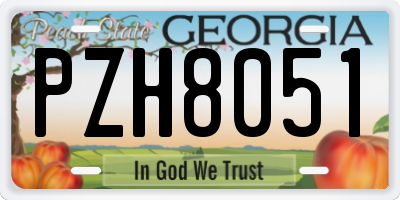 GA license plate PZH8051