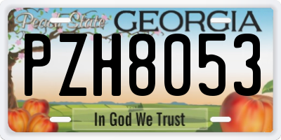 GA license plate PZH8053