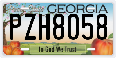 GA license plate PZH8058