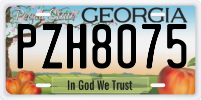 GA license plate PZH8075