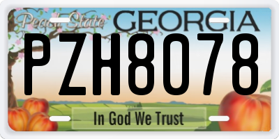 GA license plate PZH8078